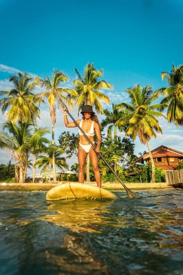 Aqua Lounge Vandrehjem Bocas del Toro Eksteriør billede