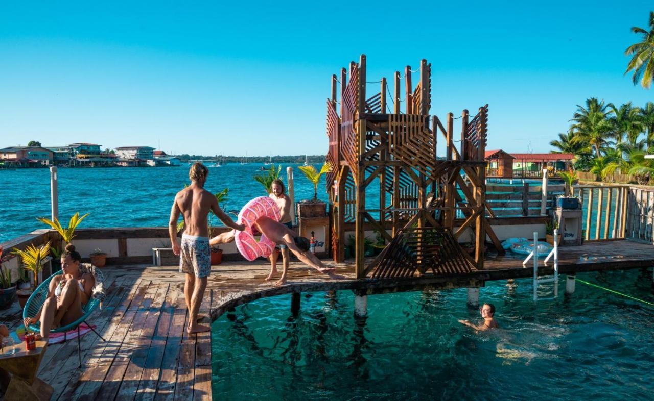Aqua Lounge Vandrehjem Bocas del Toro Eksteriør billede