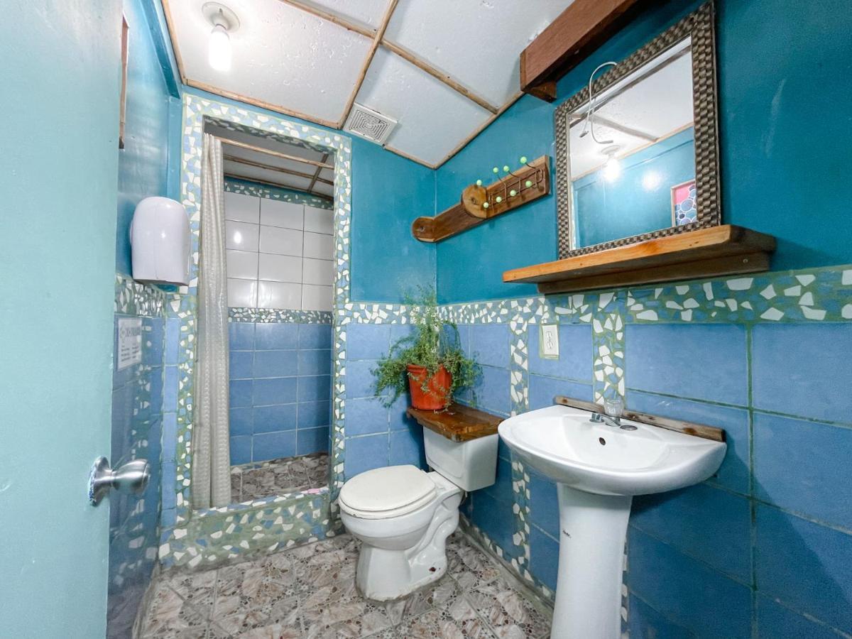 Aqua Lounge Vandrehjem Bocas del Toro Eksteriør billede