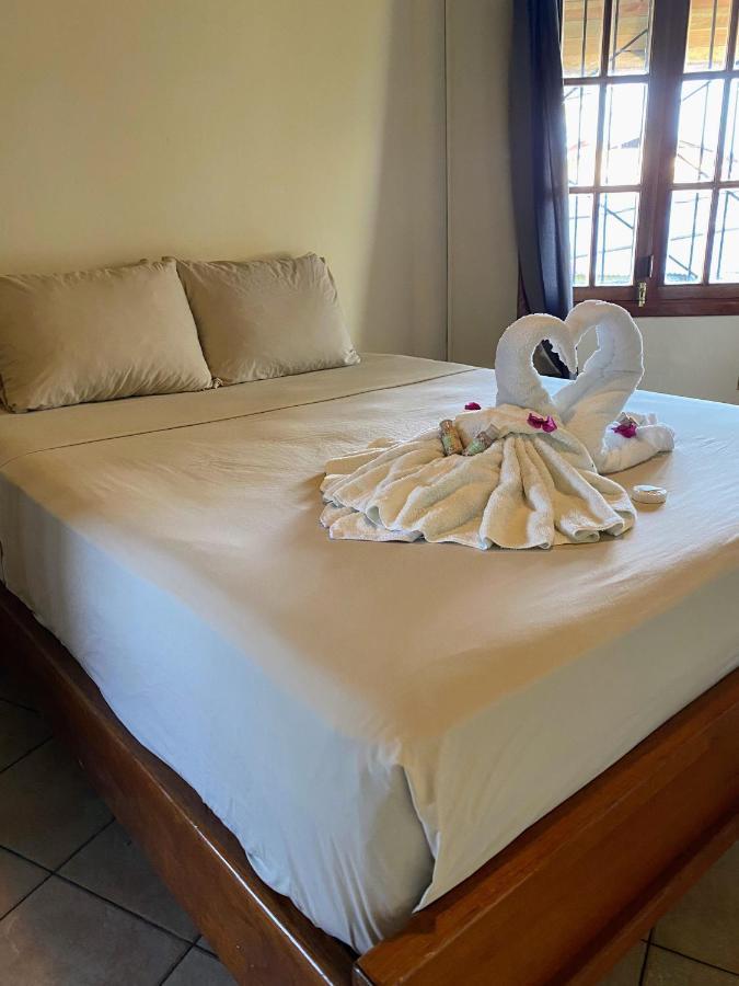 Aqua Lounge Vandrehjem Bocas del Toro Eksteriør billede